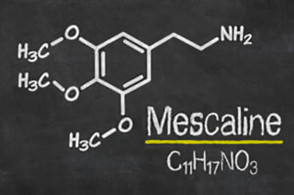 What Is Mescaline?