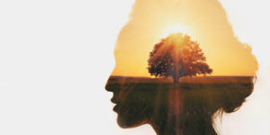 Summit Malibu Rehab for Drug and Alcohol Addiction