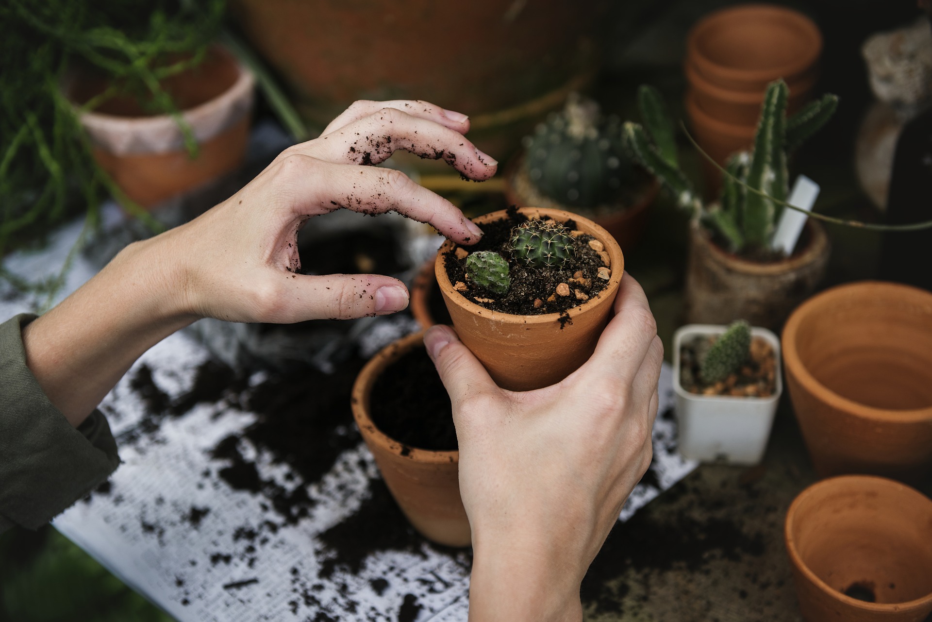 The Benefits of Horticultural Therapy Programs + 10 Activities