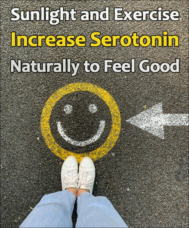 9 Foods That Increase Serotonin Naturally - Summit Malibu Rehab