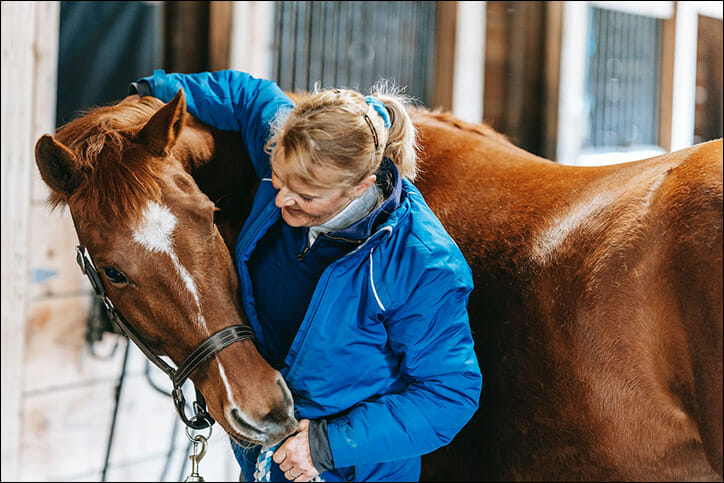 Horse And Girl Blad Xxx Video - Xylazine Horse Tranquilizer Drug Use is Increasing - SummitRehab