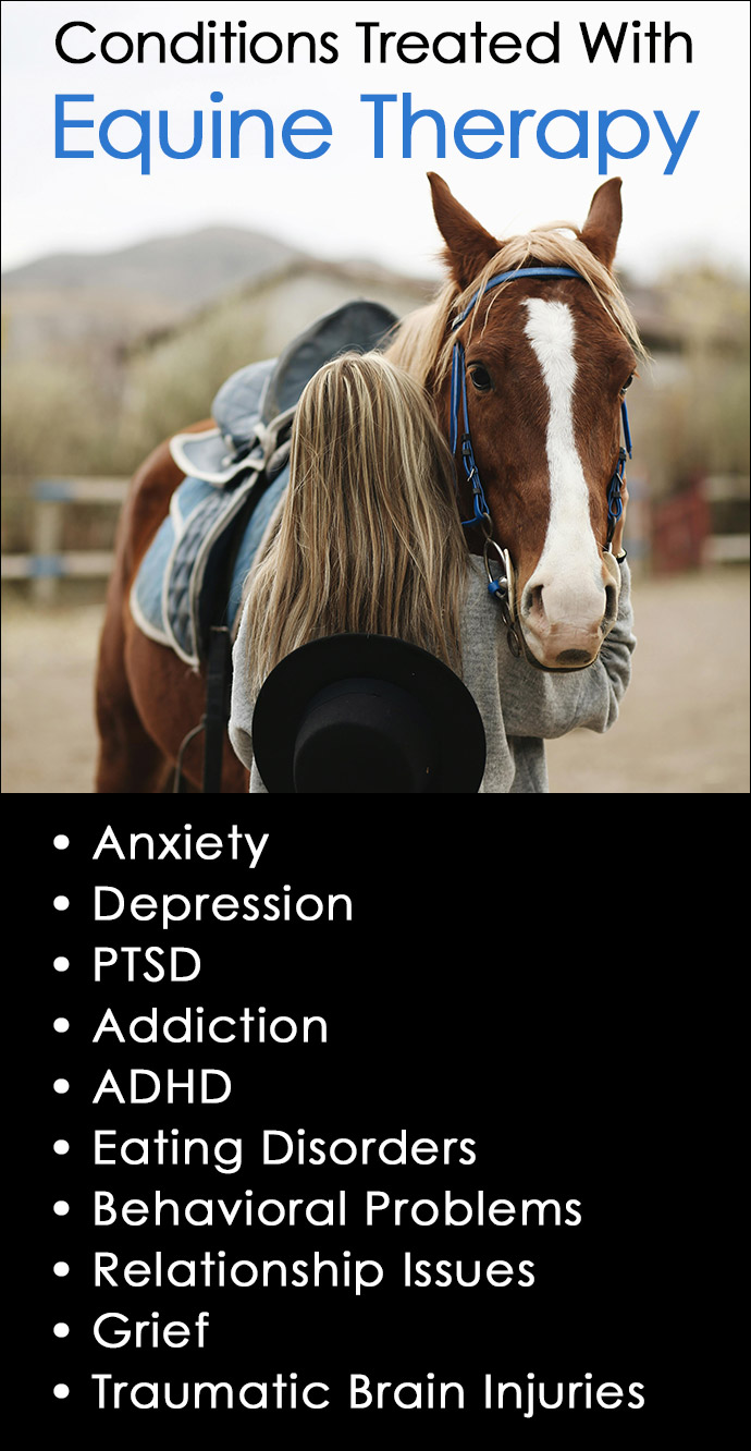 Conditions Treated with Equine Therapy