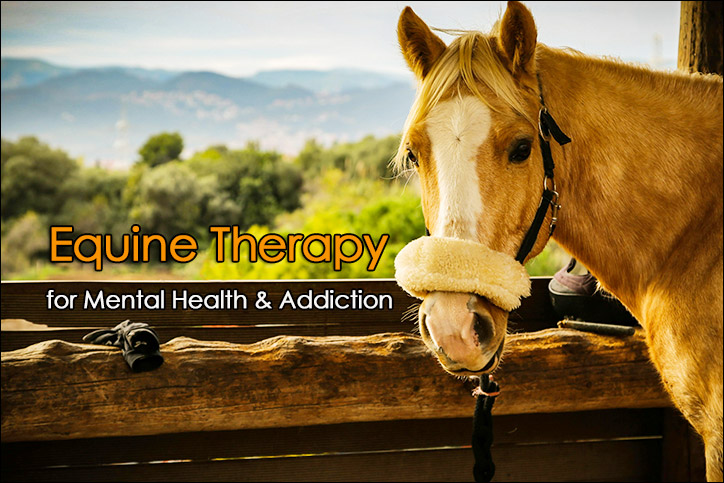 Equine Therapy for Mental Health and Addiction