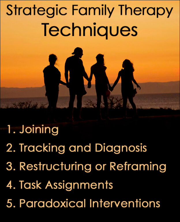Brief Strategic Family Therapy Techniques