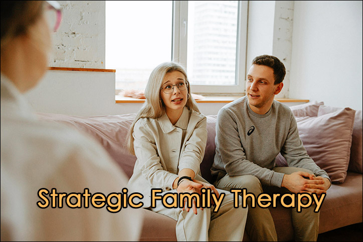 Strategic Family Therapy Techniques and Concepts