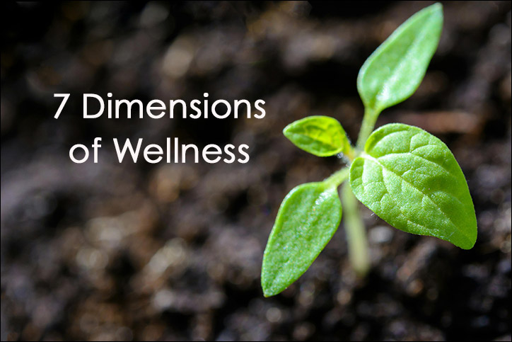 7 Dimensions of Wellness