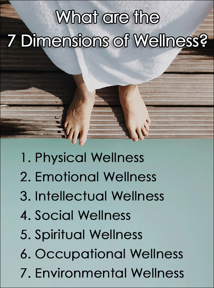 What are the 7 Dimensions of Wellness?