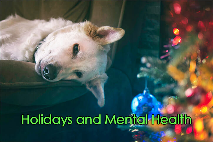 Holidays and Mental Health Tips