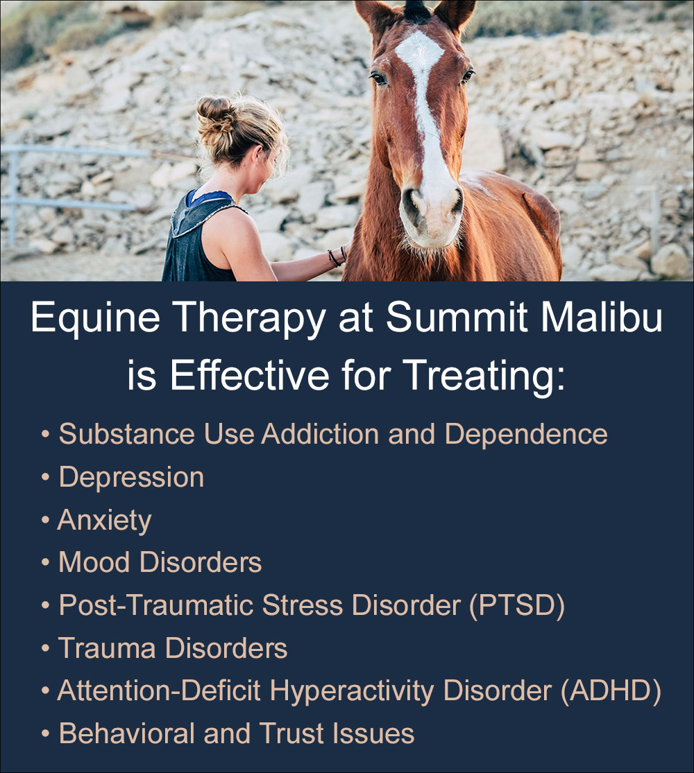 Equine Therapy Malibu, CA